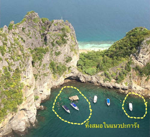 ชัด ๆ ภาพเรือนำเที่ยวปล่อยน้ำมันลงแนวปะการัง เกาะพีพี...แบบนี้ใครจะอยู่เฉย