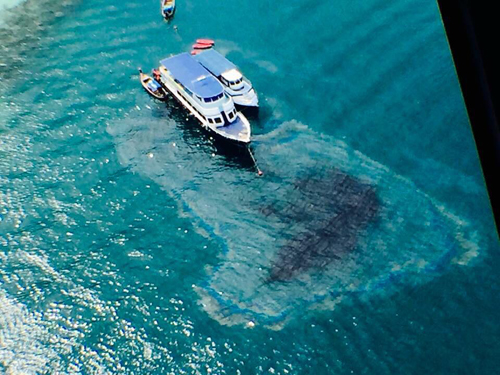 ชัด ๆ ภาพเรือนำเที่ยวปล่อยน้ำมันลงแนวปะการัง เกาะพีพี...แบบนี้ใครจะอยู่เฉย