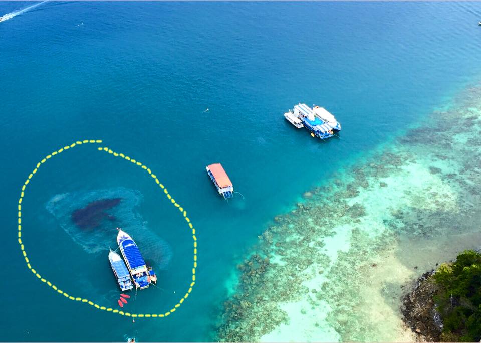 ชัด ๆ ภาพเรือนำเที่ยวปล่อยน้ำมันลงแนวปะการัง เกาะพีพี...แบบนี้ใครจะอยู่เฉย