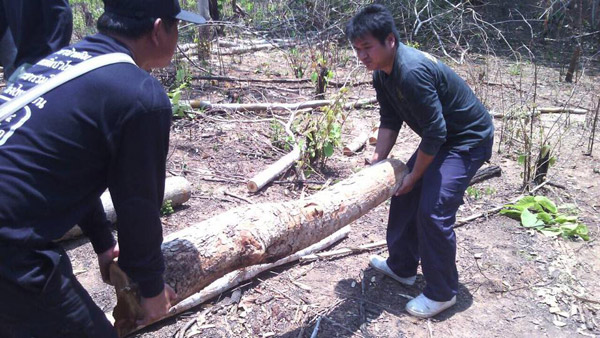 บุกยึดสวนปาล์มรุกป่าสงวน พบเป็นที่ของคนตระกูลวิชัยดิษฐ์