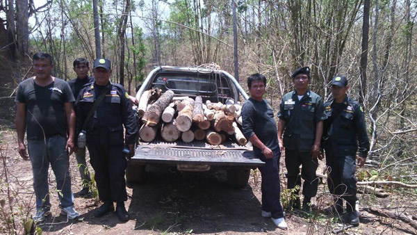 บุกยึดสวนปาล์มรุกป่าสงวน พบเป็นที่ของคนตระกูลวิชัยดิษฐ์