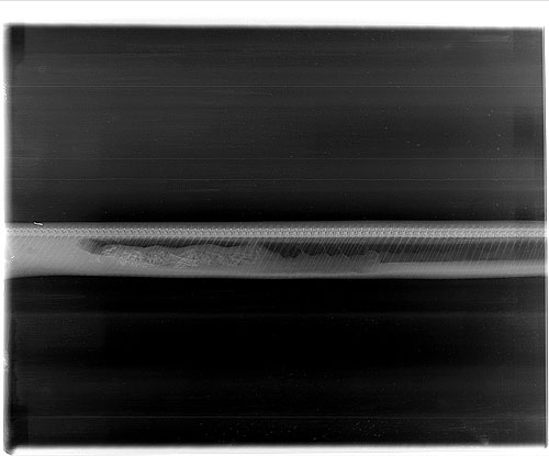 ภาพน่าทึ่ง ติดตามการย่อยของงูหลามหลังเขมือบจระเข้ หายวาบใน 7 วัน