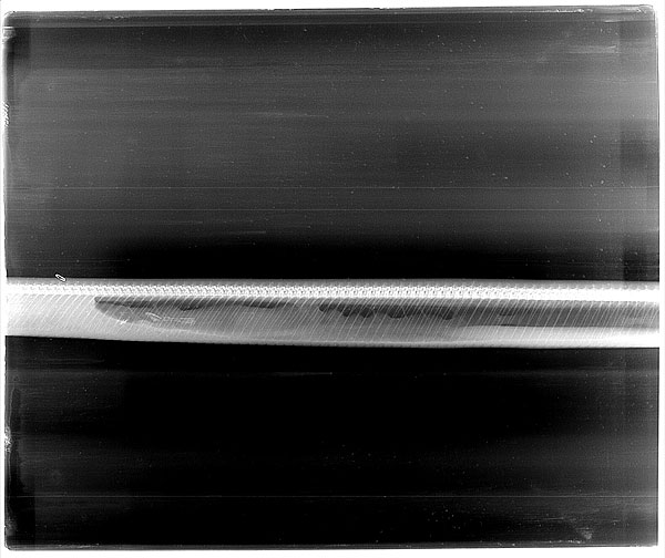 ภาพน่าทึ่ง ติดตามการย่อยของงูหลามหลังเขมือบจระเข้ หายวาบใน 7 วัน