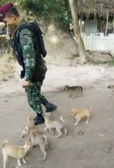 คลิปทหารโดนรุม 10 ต่อ 1 เข้าใจเล่นนะเนี่ย