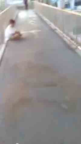 คลิปเด็กไทยใจหล่อมาก กับภารกิจพิเศษในวันวาเลนไทน์