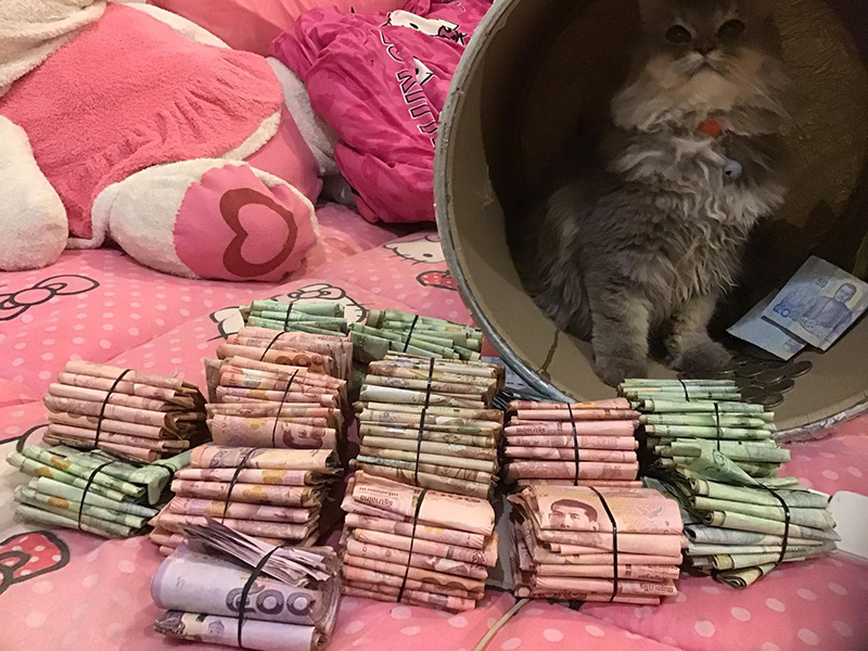 วิธีเก็บเงิน