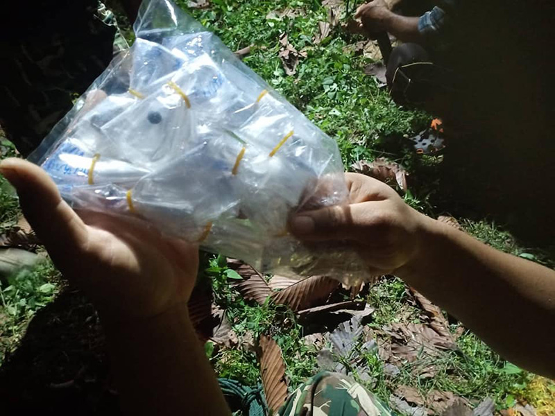 เจ้างาสั้น