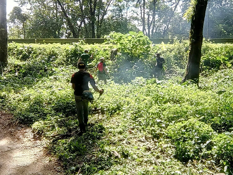 จวกสนั่น เขาสกปรับพื้นที่