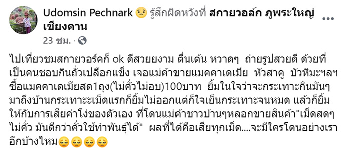 ถั่วแมคคาเดเมีย