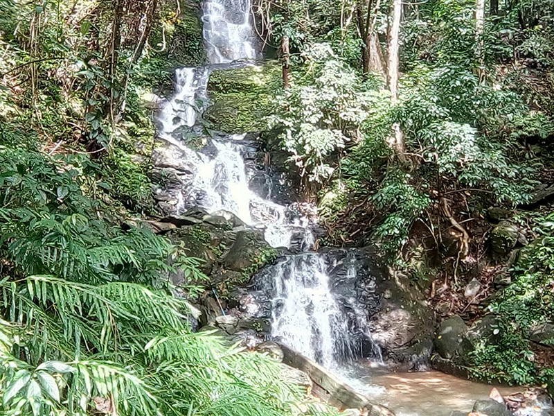 จวกสนั่น เขาสกปรับพื้นที่