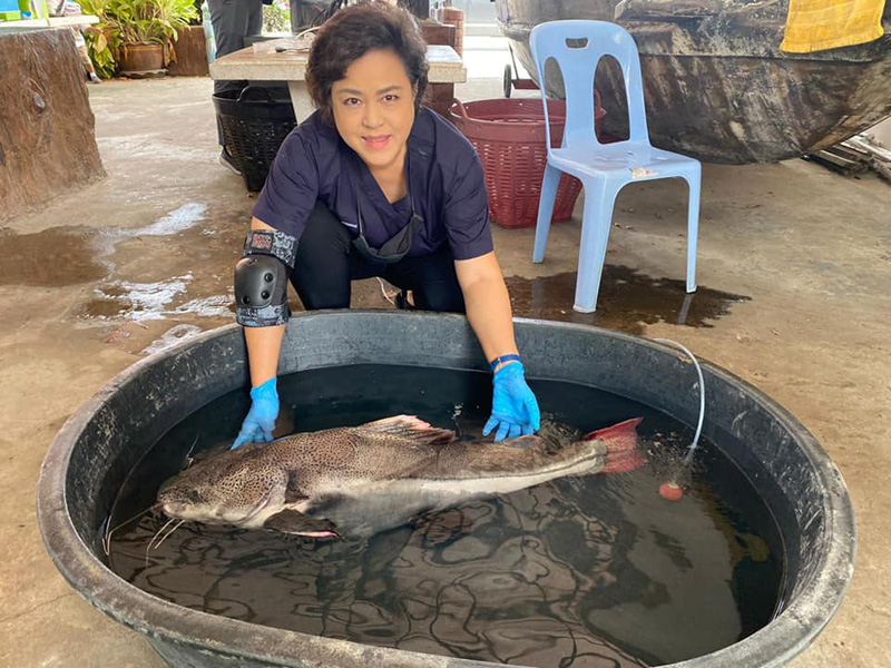 ช่วยชีวิตปลา