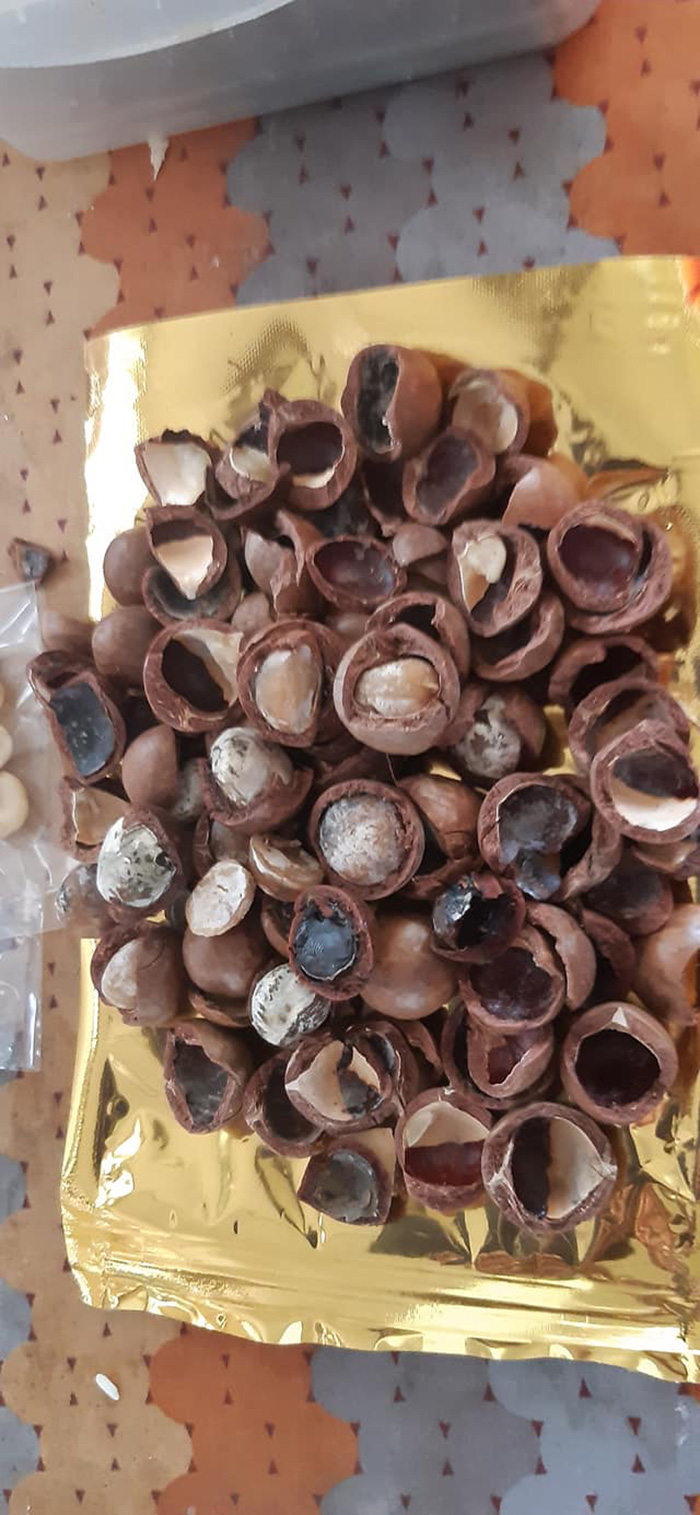 ถั่วแมคคาเดเมีย