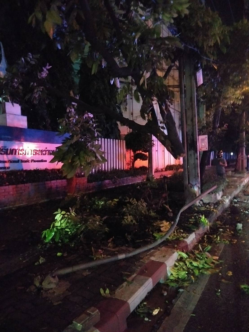 ขับรถชนเสาไฟ