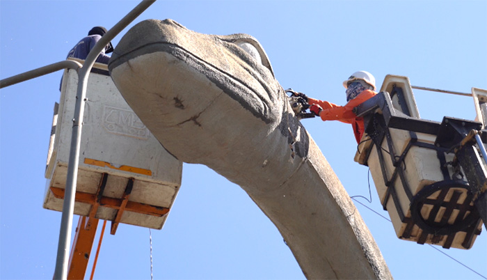 น้องไดโน