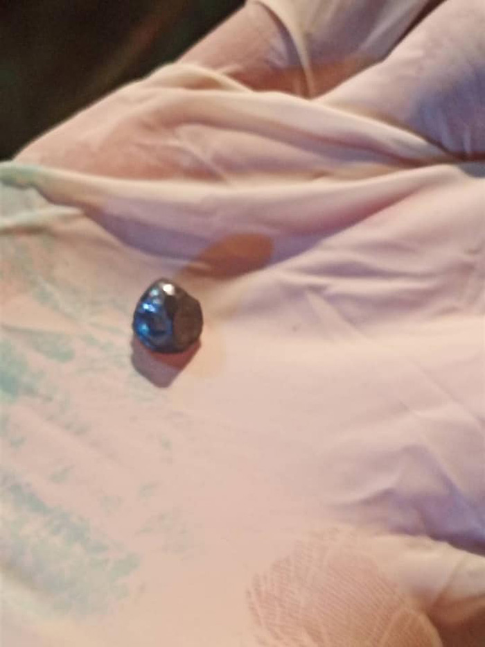 เจ้างาสั้น