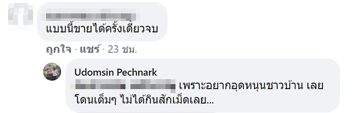 ถั่วแมคคาเดเมีย
