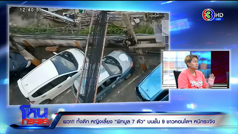 ภาพข่าว เจ้าของหมาพิทบูล 7 ตัว