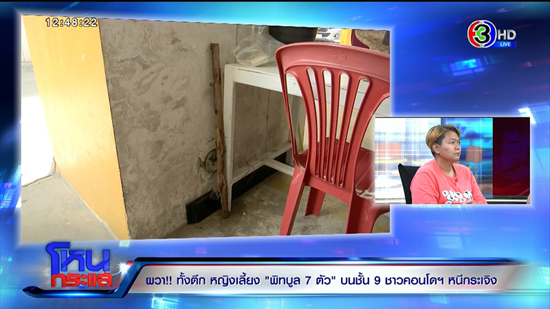 ภาพข่าว เจ้าของหมาพิทบูล 7 ตัว