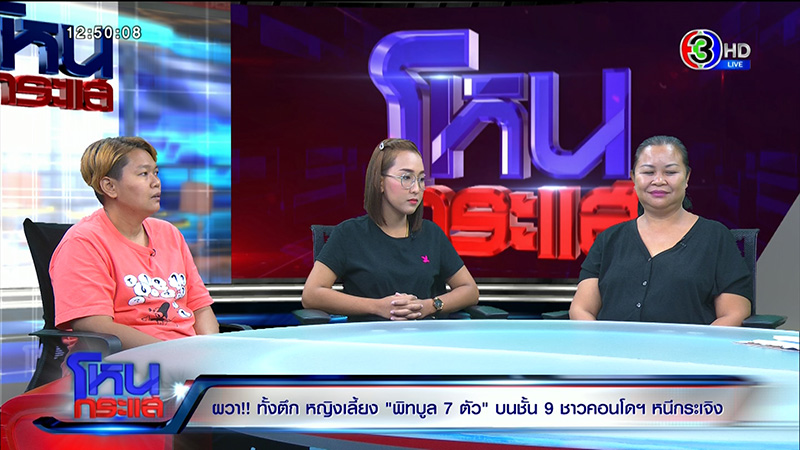 ภาพข่าว เจ้าของหมาพิทบูล 7 ตัว