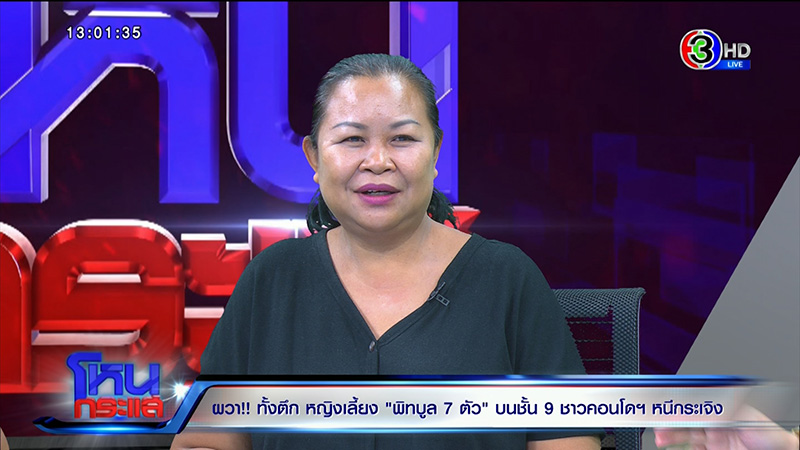 ภาพข่าว เจ้าของหมาพิทบูล 7 ตัว