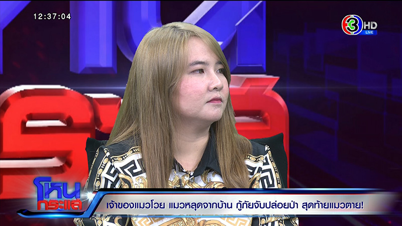 เจ้าของเจ้าสัว