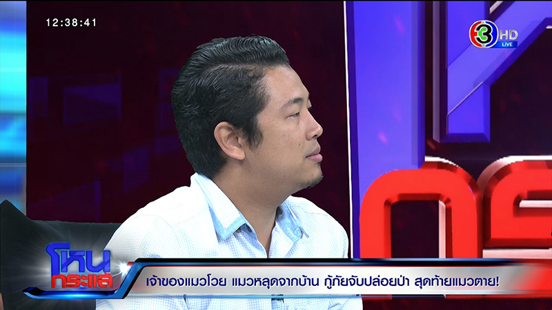 เจ้าของเจ้าสัว