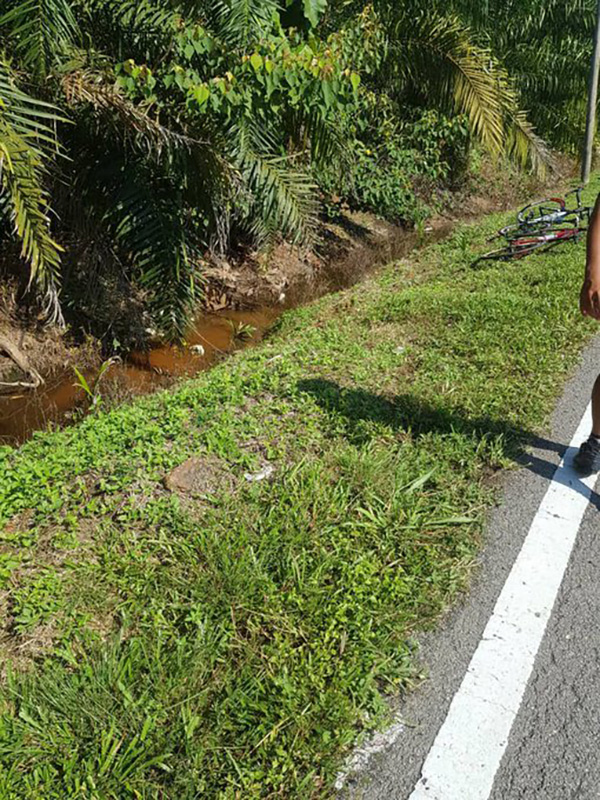 หลุมถนน