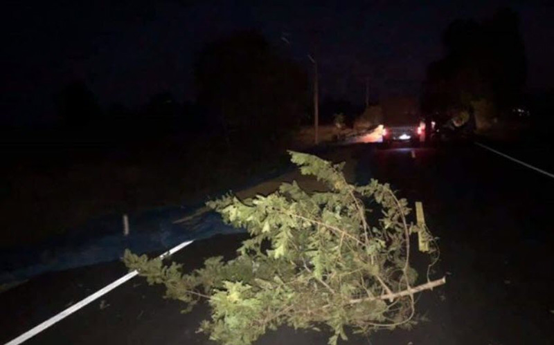 บิ๊กไบค์ชนกองข้าว