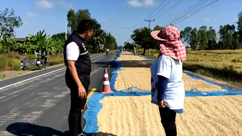 ข้าวบนถนน