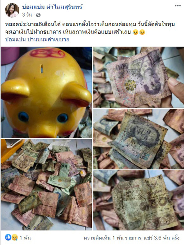 กระปุกหมู