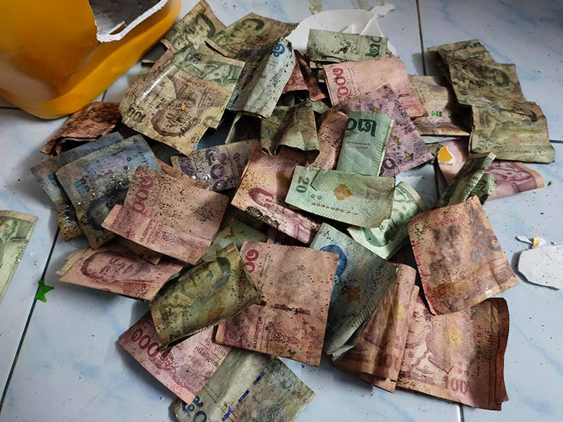 เงินกระปุกหมู