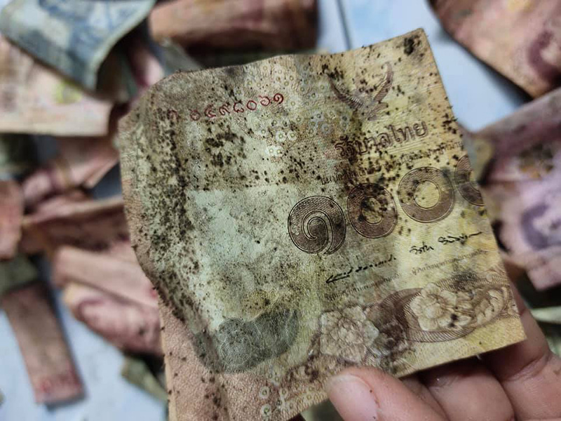 เงินกระปุกหมู