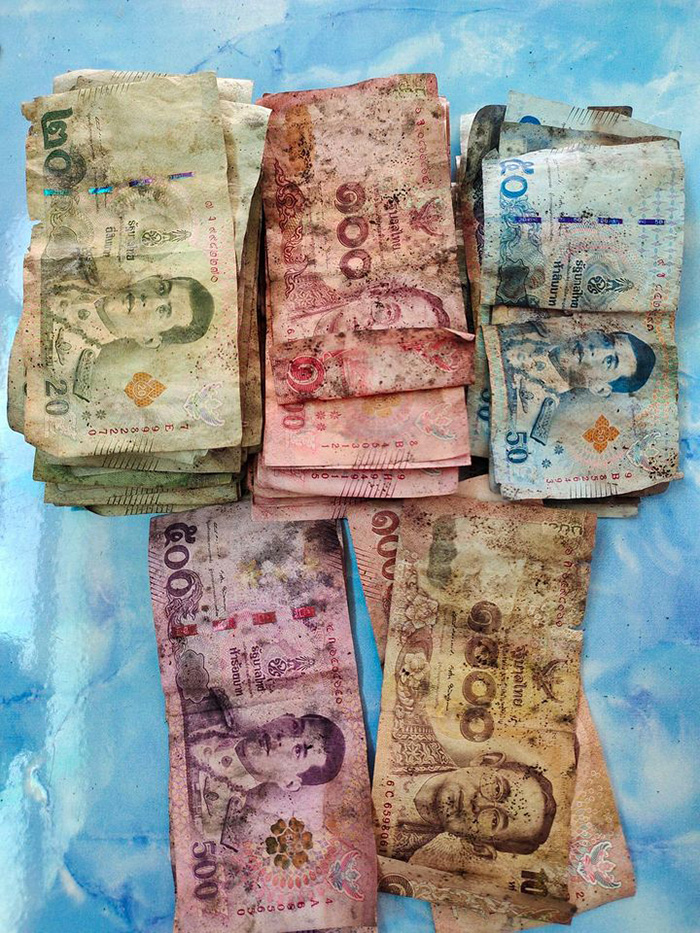 เงินกระปุกหมู