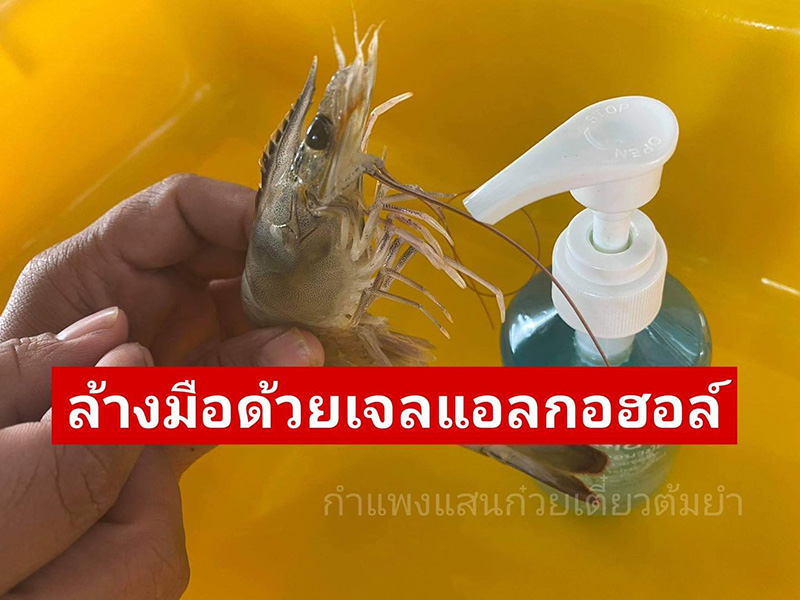 ร้านก๋วยเตี๋ยวโพสต์