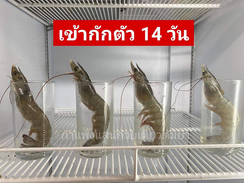 ร้านก๋วยเตี๋ยวโพสต์