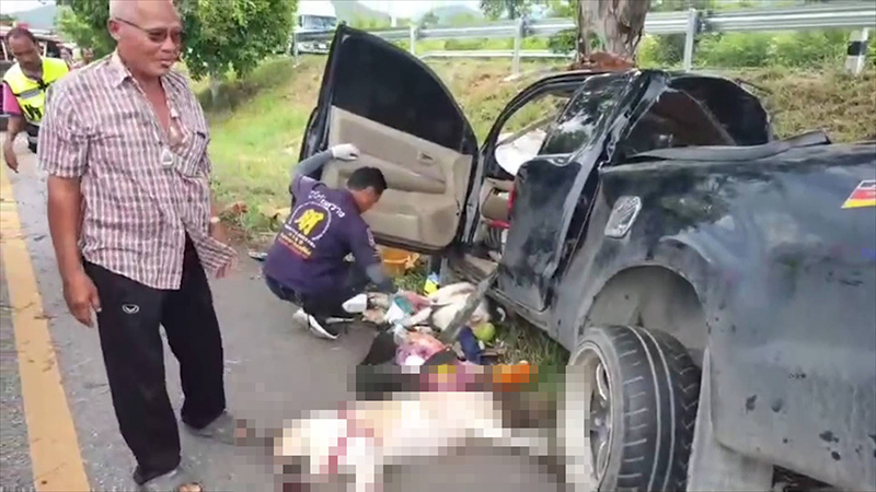 ภาพข่าว กระบะเสียหลักชนต้นไม้