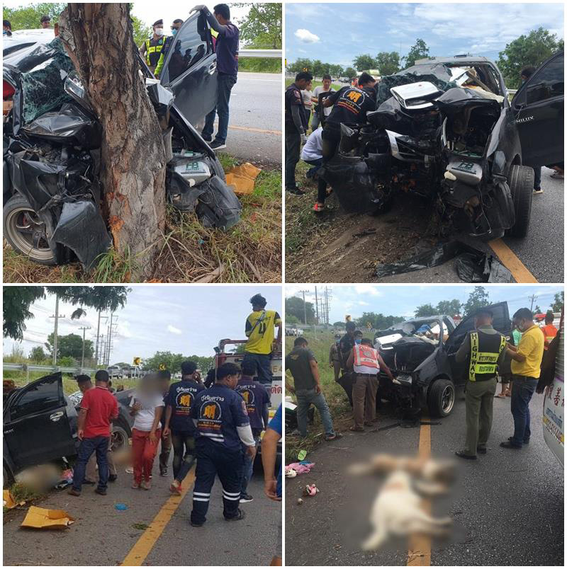 ภาพข่าว กระบะเสียหลักชนต้นไม้