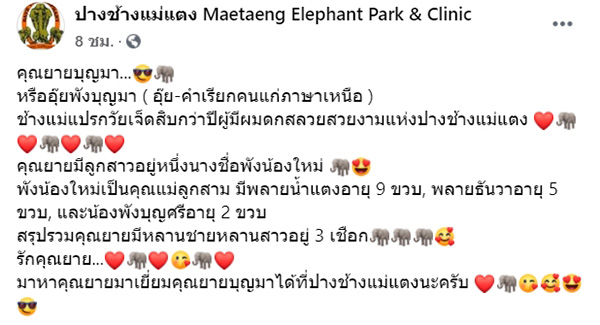 คุณยายช้าง