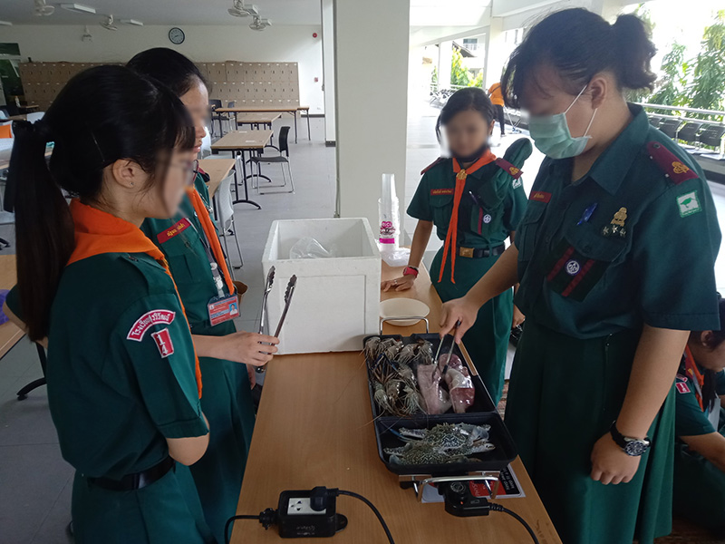 ทำอาหารแบบไม่ก่อไฟ