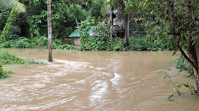 น้ำท่วม