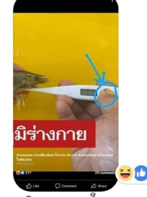 ร้านก๋วยเตี๋ยวดัง VS ลูกค้า