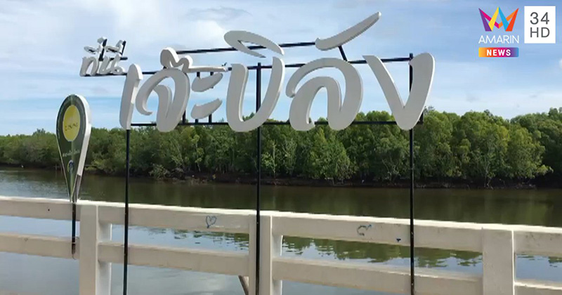 ภาพข่าวฉลามกัด