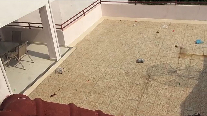 ฝรั่งคลั่ง