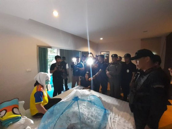 แก๊ง อุ้มบุญ