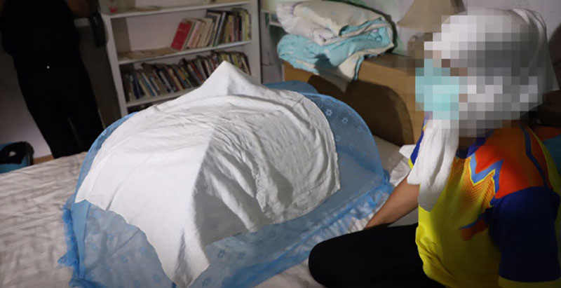 แก๊ง อุ้มบุญ