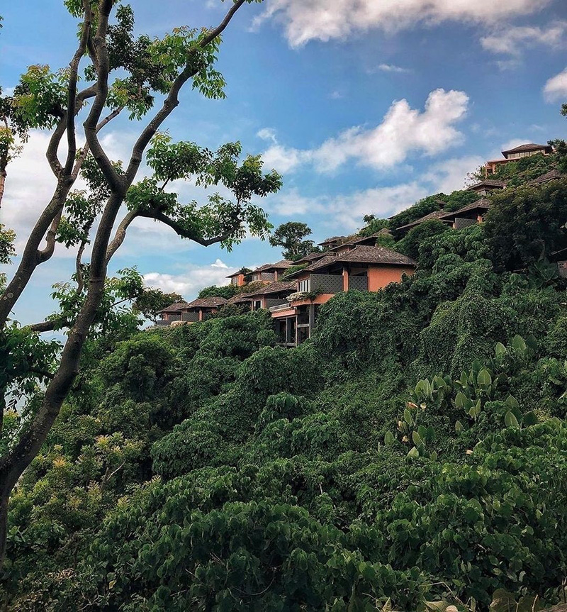 ศรีพันวา