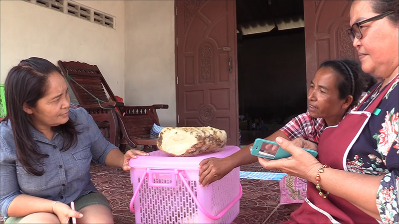 ก้อนปริศนา