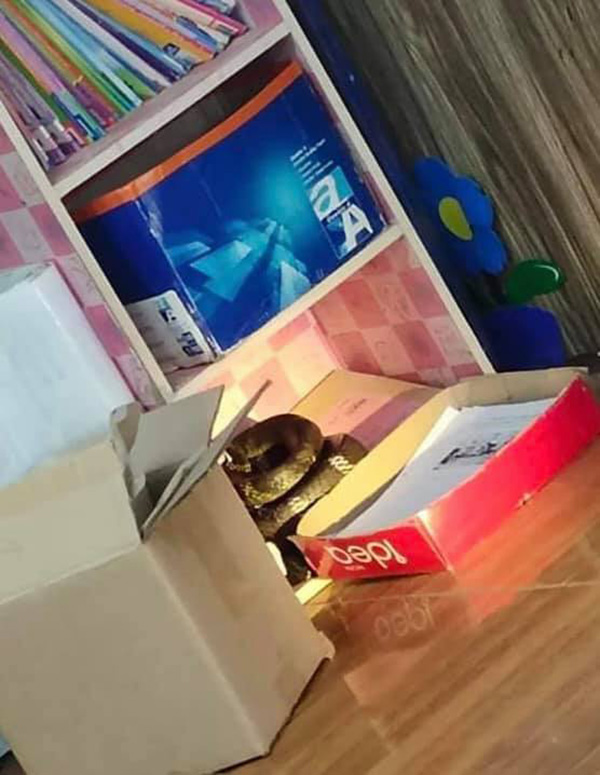 งูจงอาง