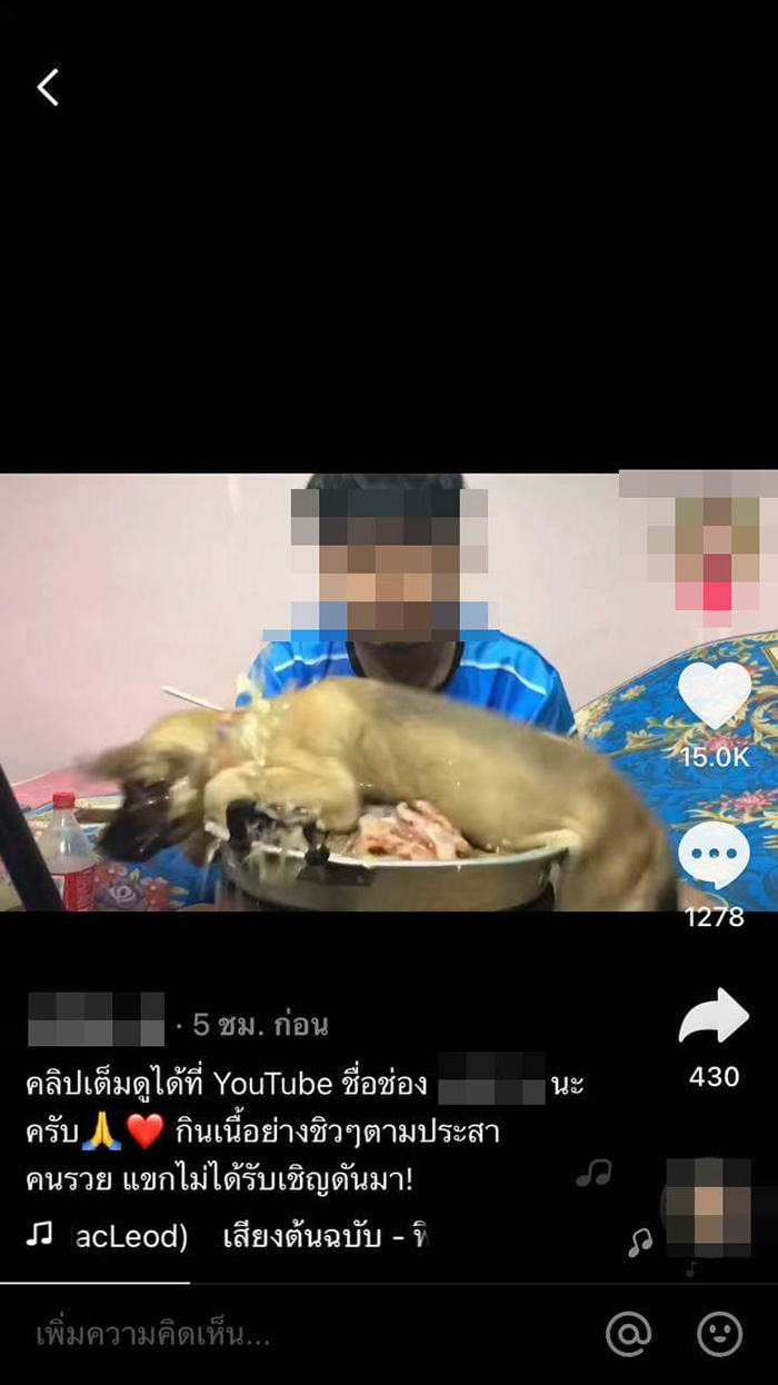 หนุ่มอัดคลิปกินหมูกระทะ