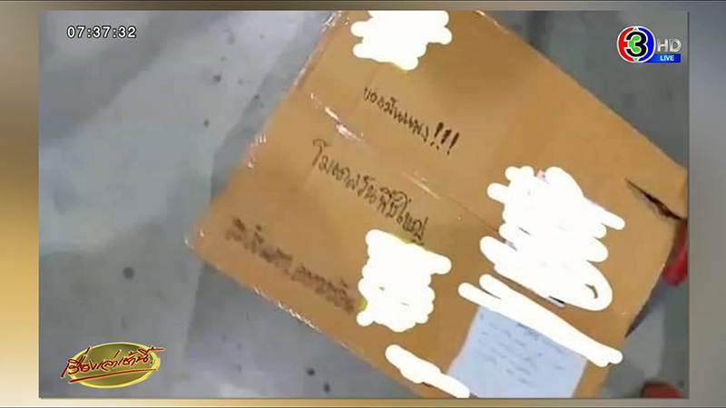 พี่เหลือมไซส์บิ๊ก